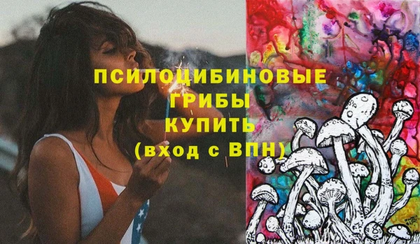 ПСИЛОЦИБИНОВЫЕ ГРИБЫ Алексеевка