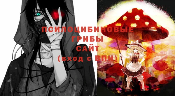 тгк Алексин