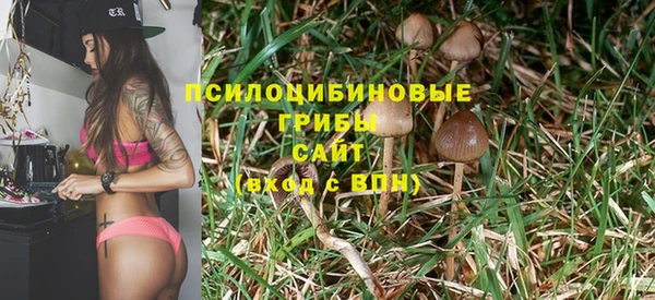 метадон Алзамай