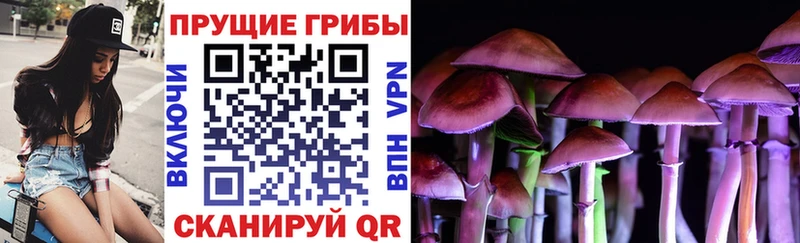 Галлюциногенные грибы мицелий  Злынка 